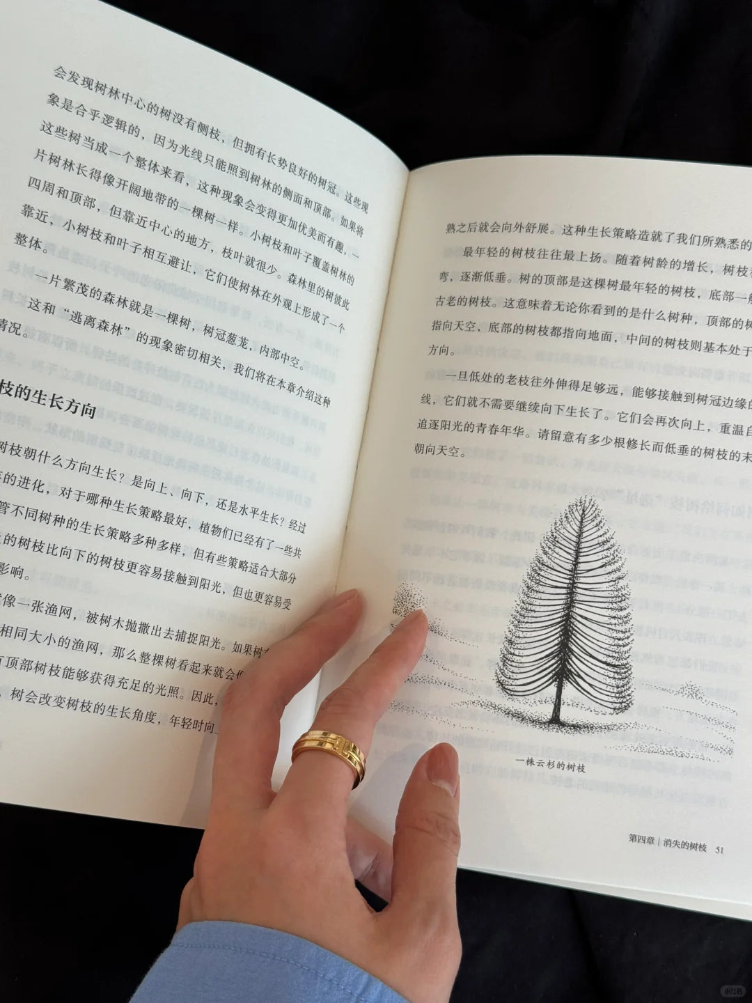 如何阅读一棵树