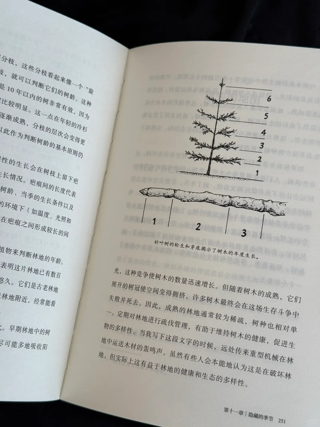 如何阅读一棵树