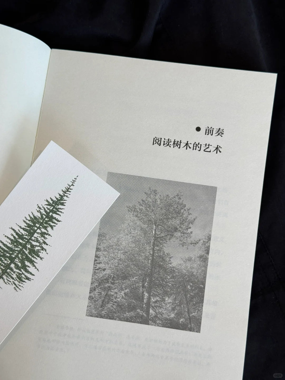 如何阅读一棵树