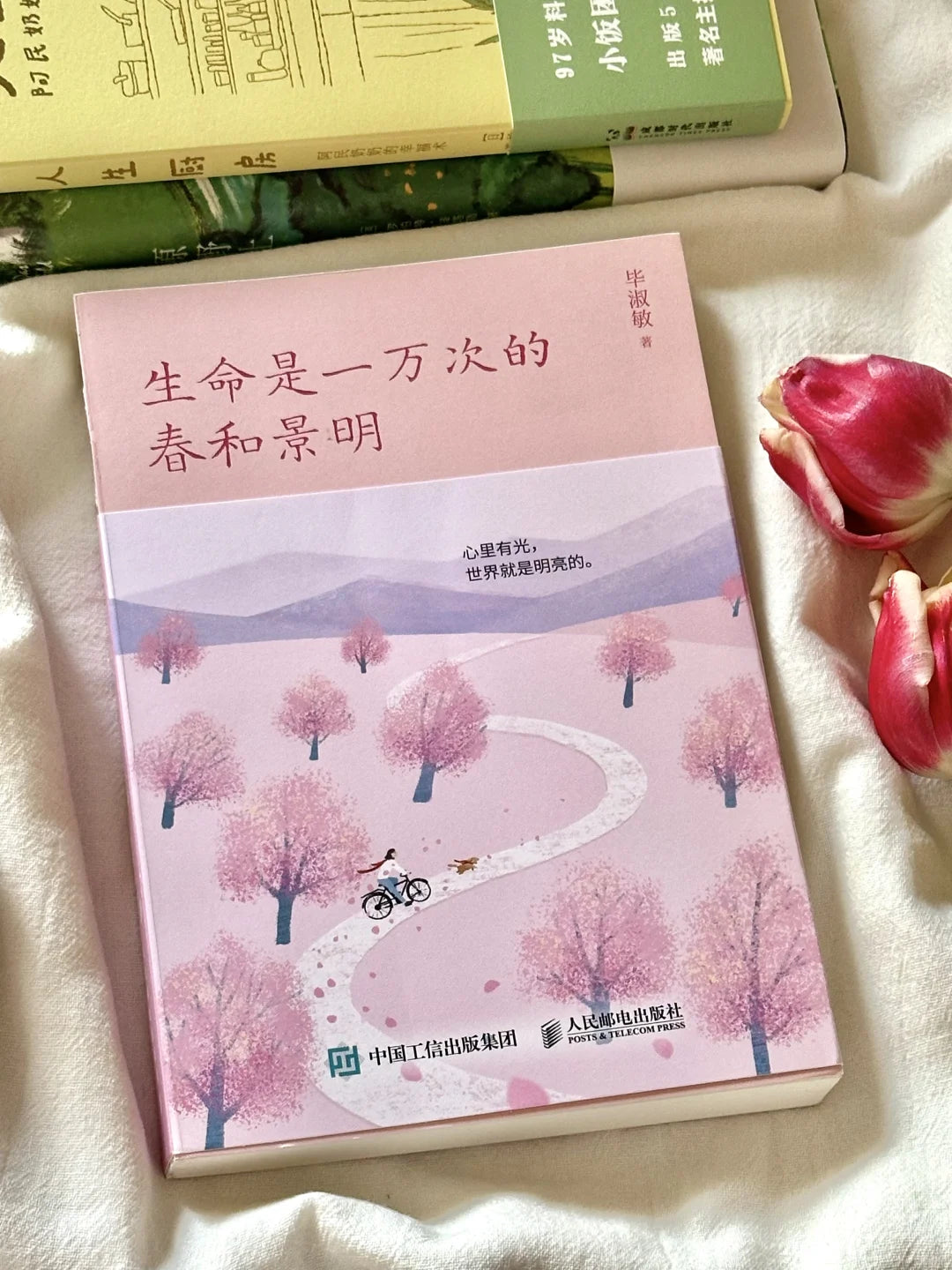 春日治愈书单（全7册）