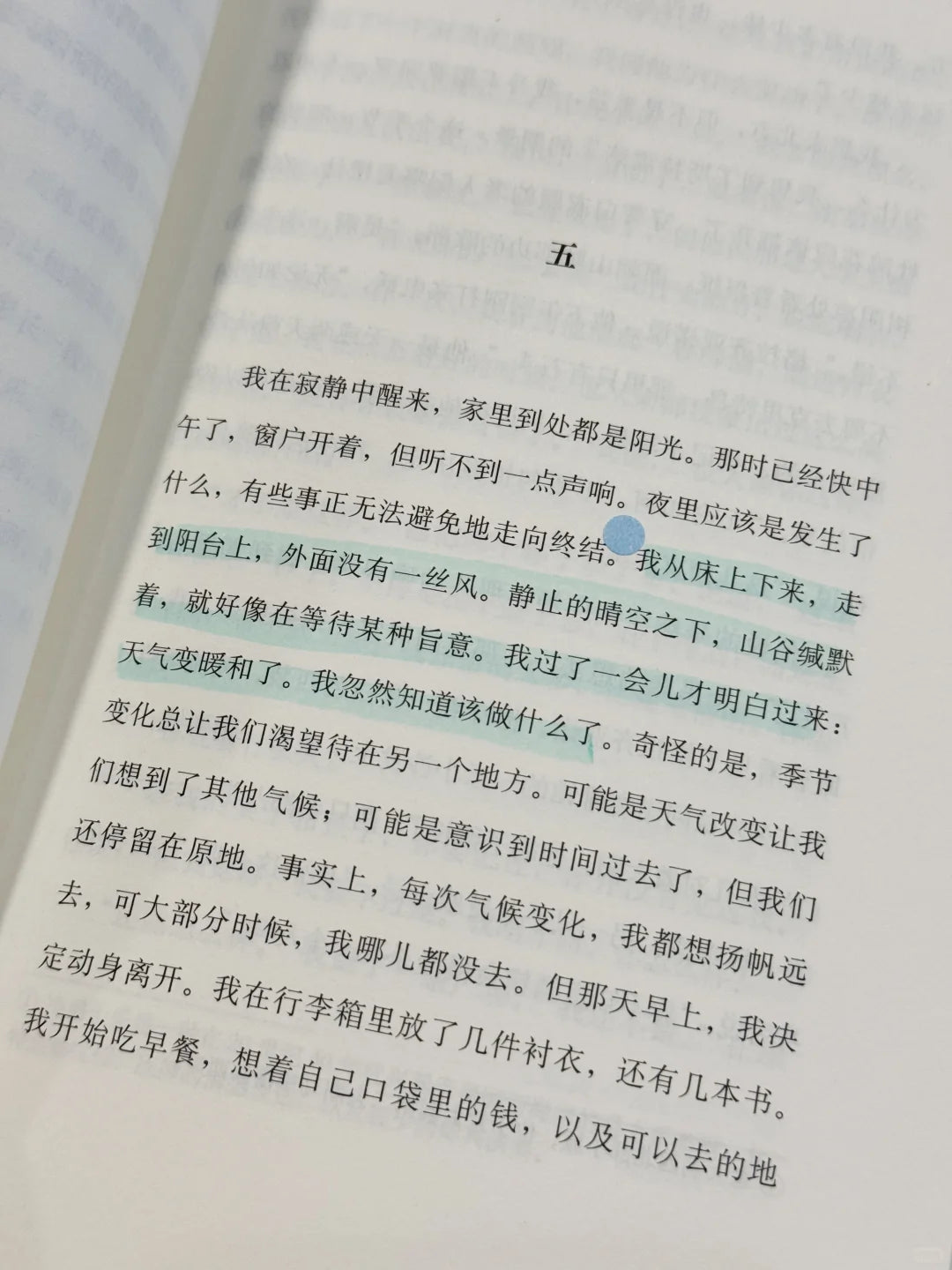 虚掷的夏日