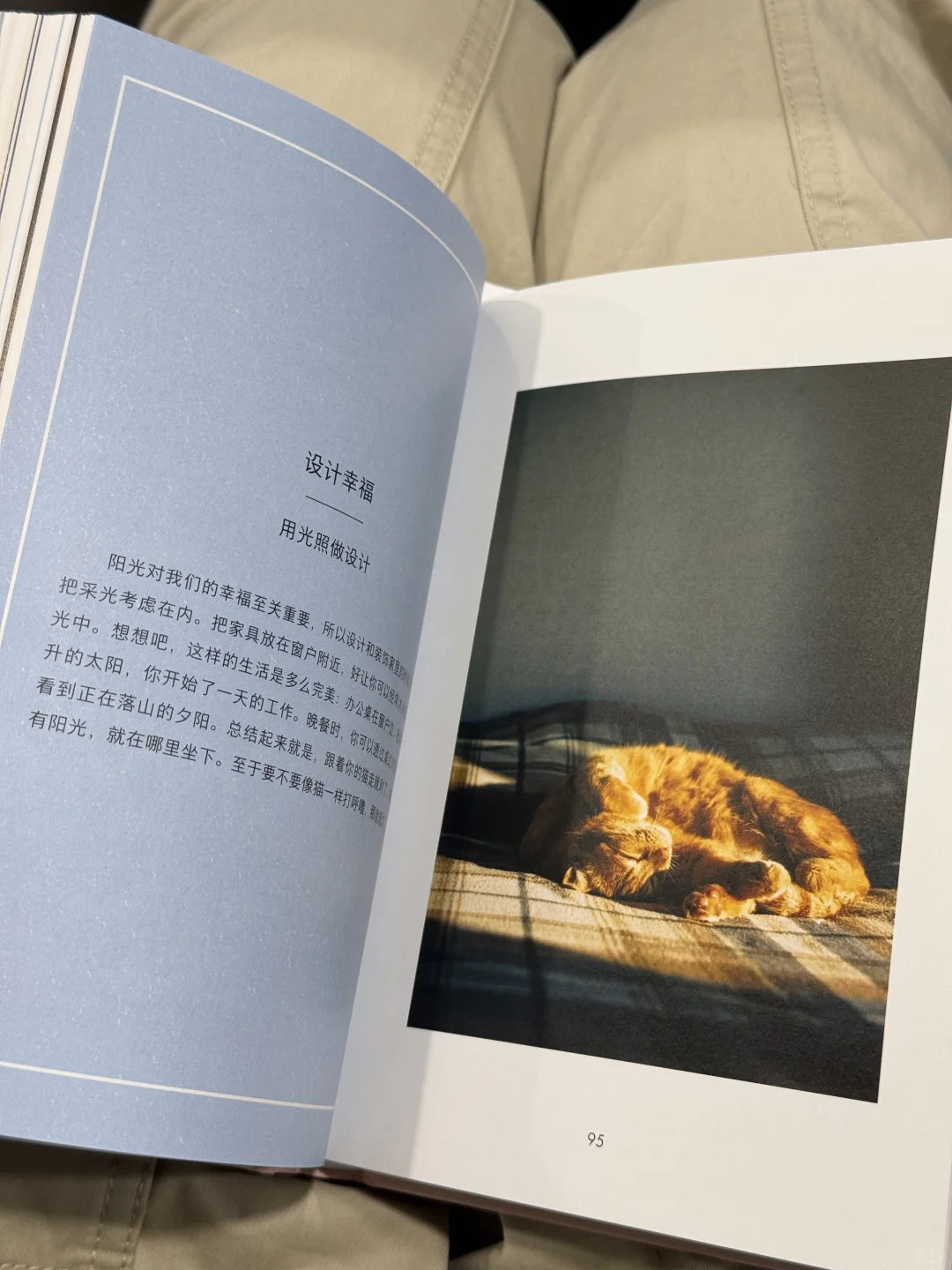 为什么我只想待在家