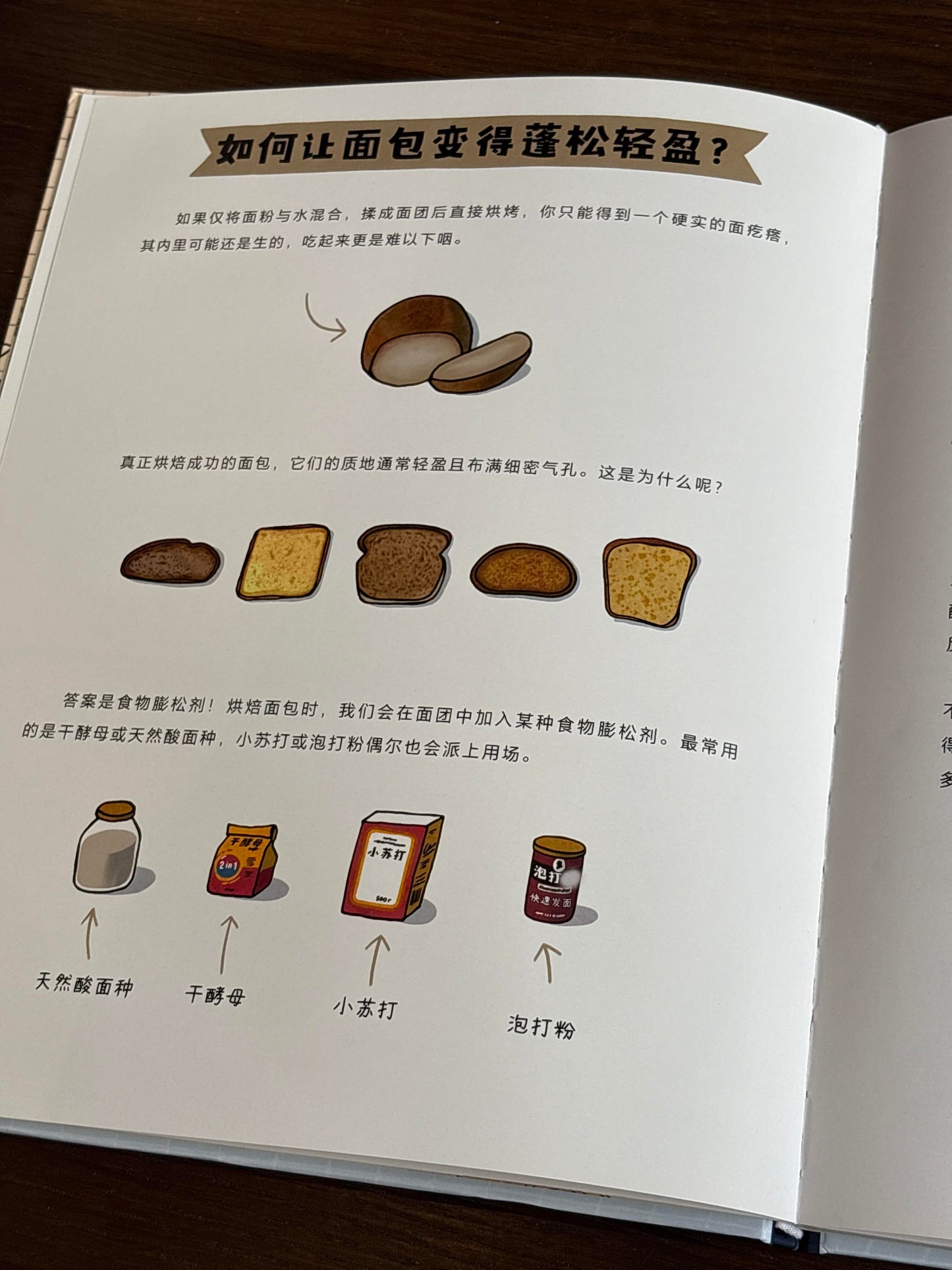 面包的环球之旅