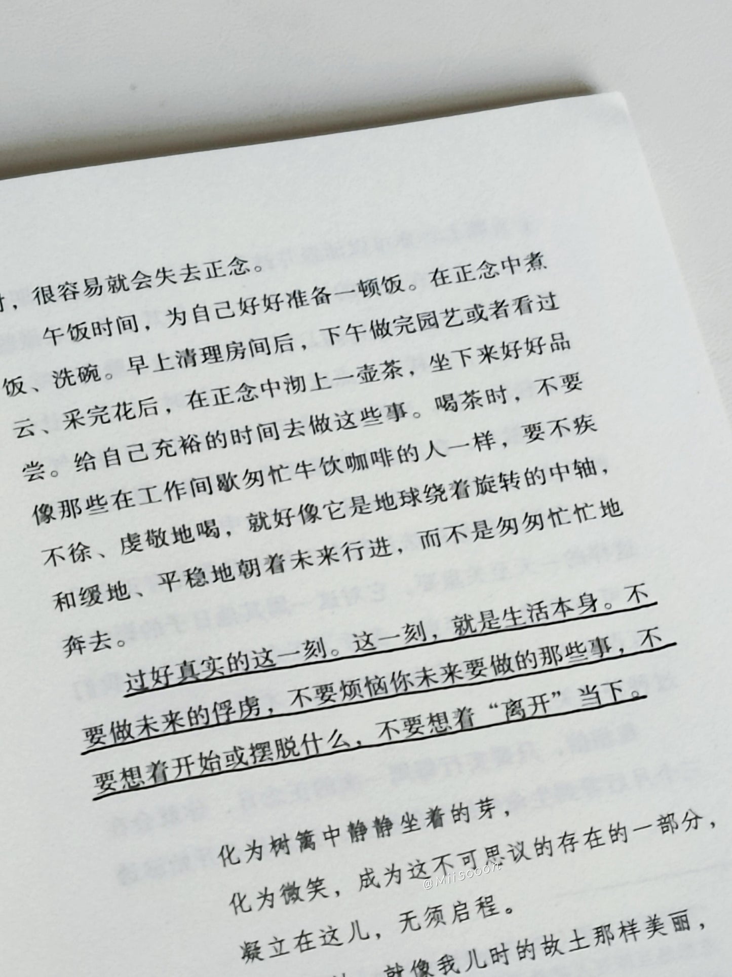 正念的奇迹