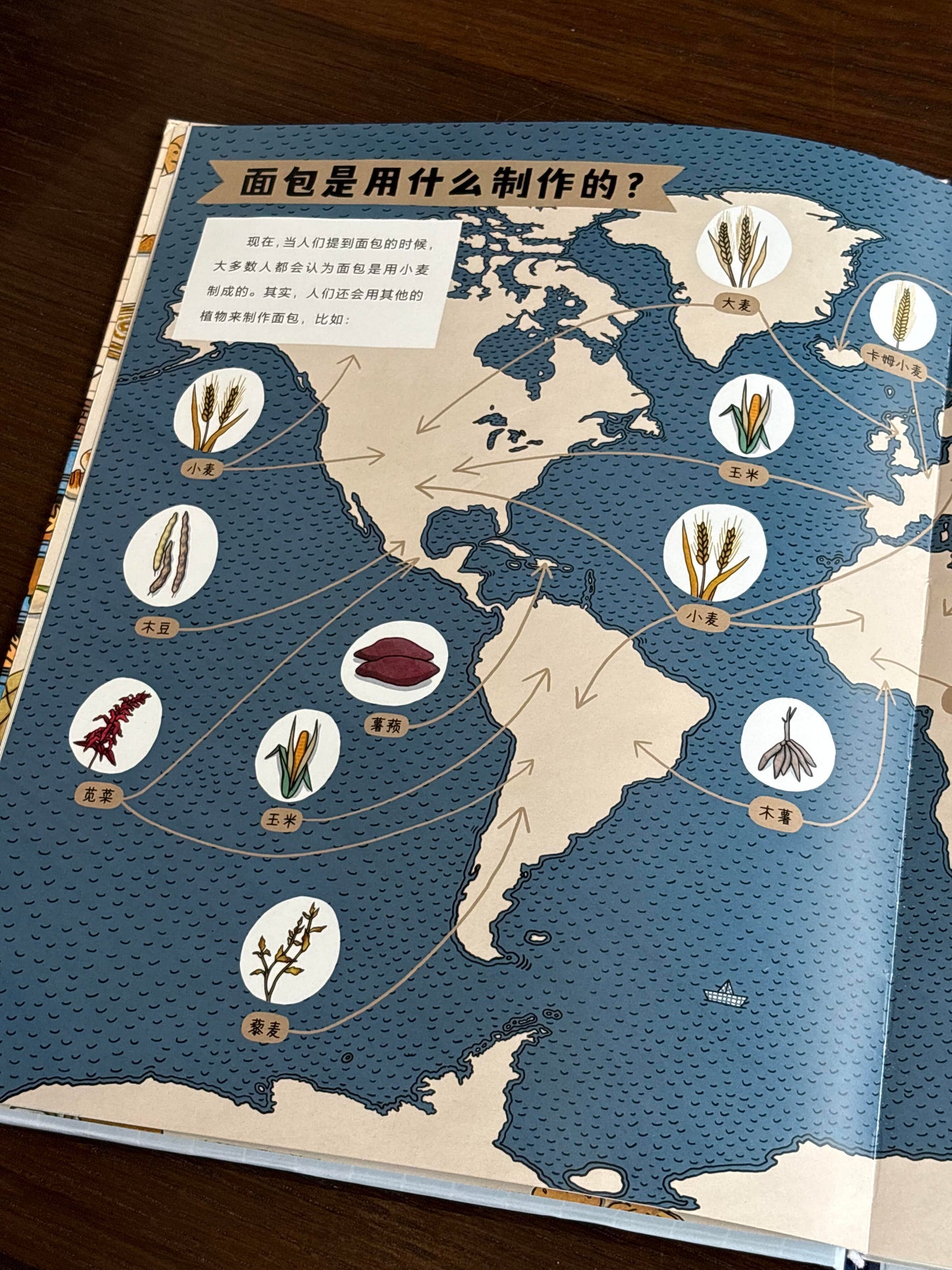 面包的环球之旅