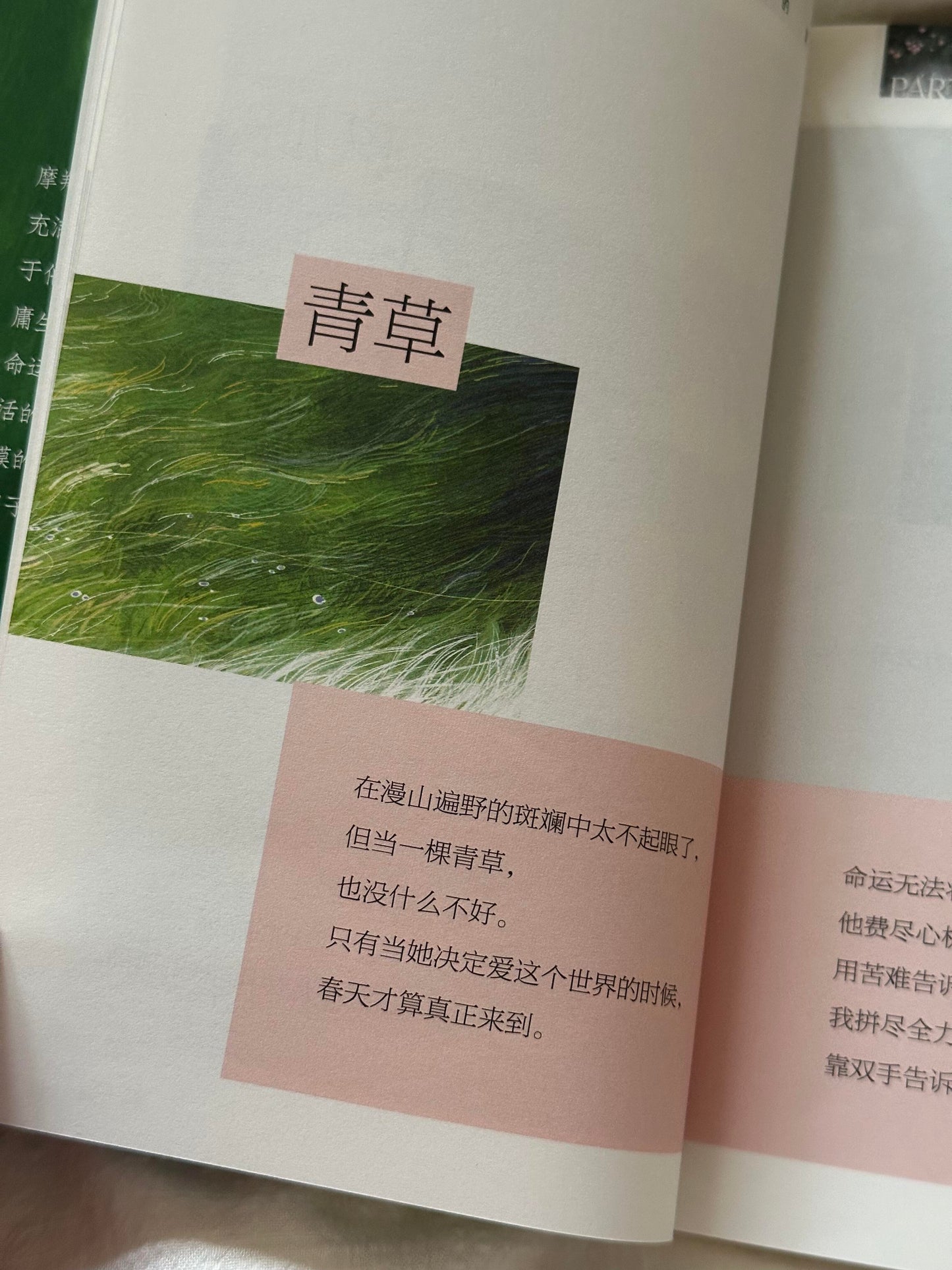 去吹吹旷野的风