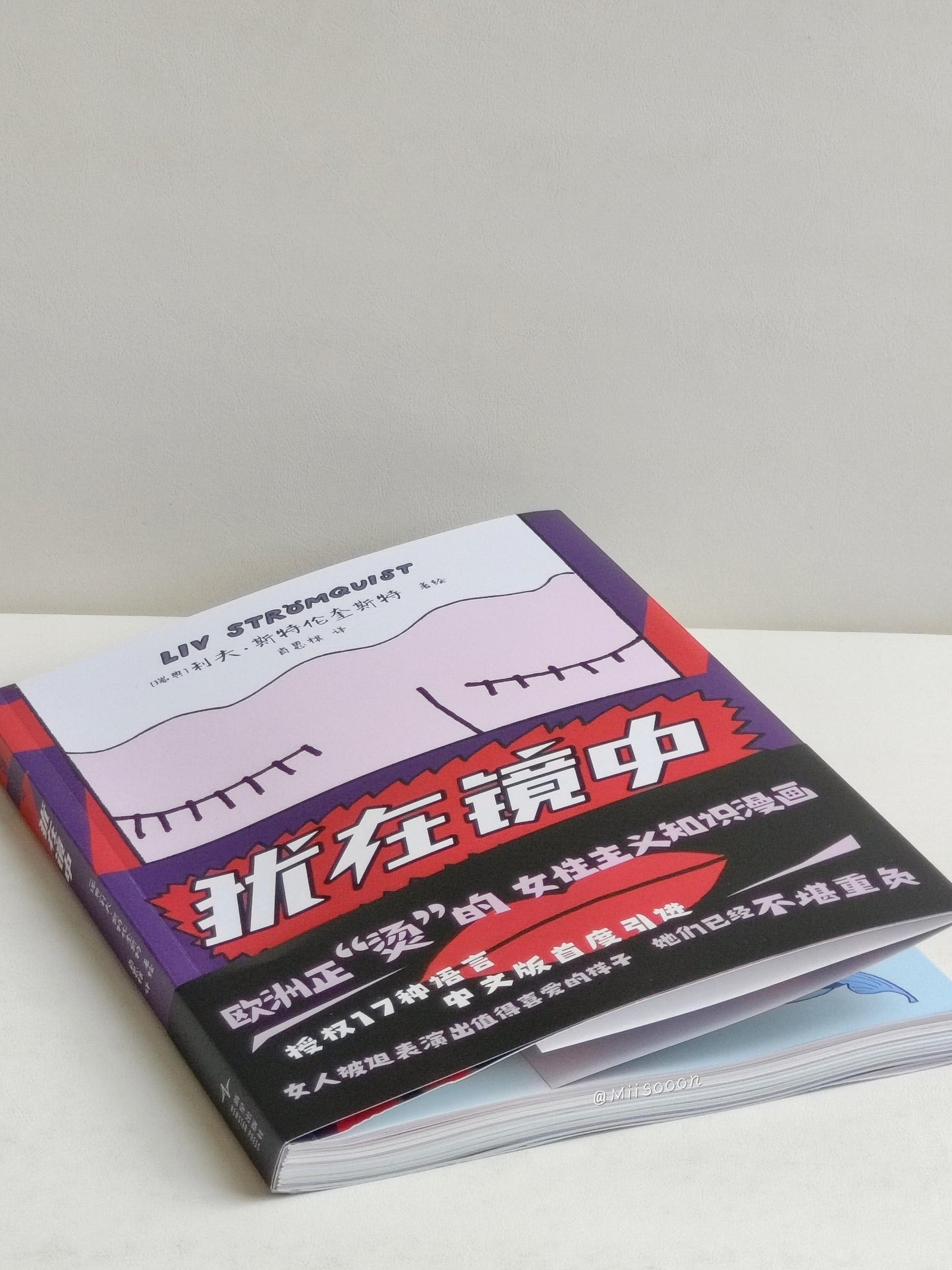 犹在镜中