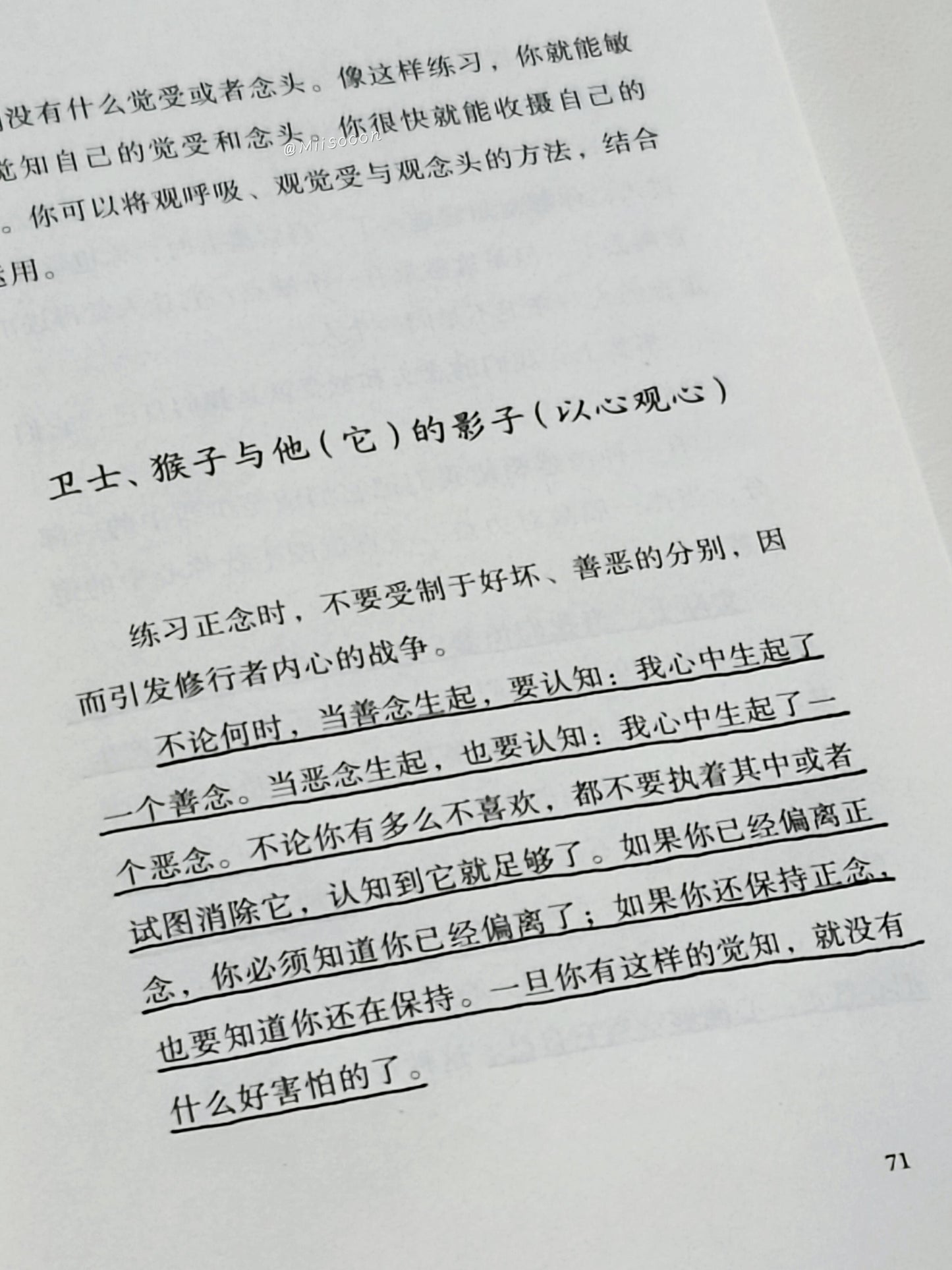 正念的奇迹