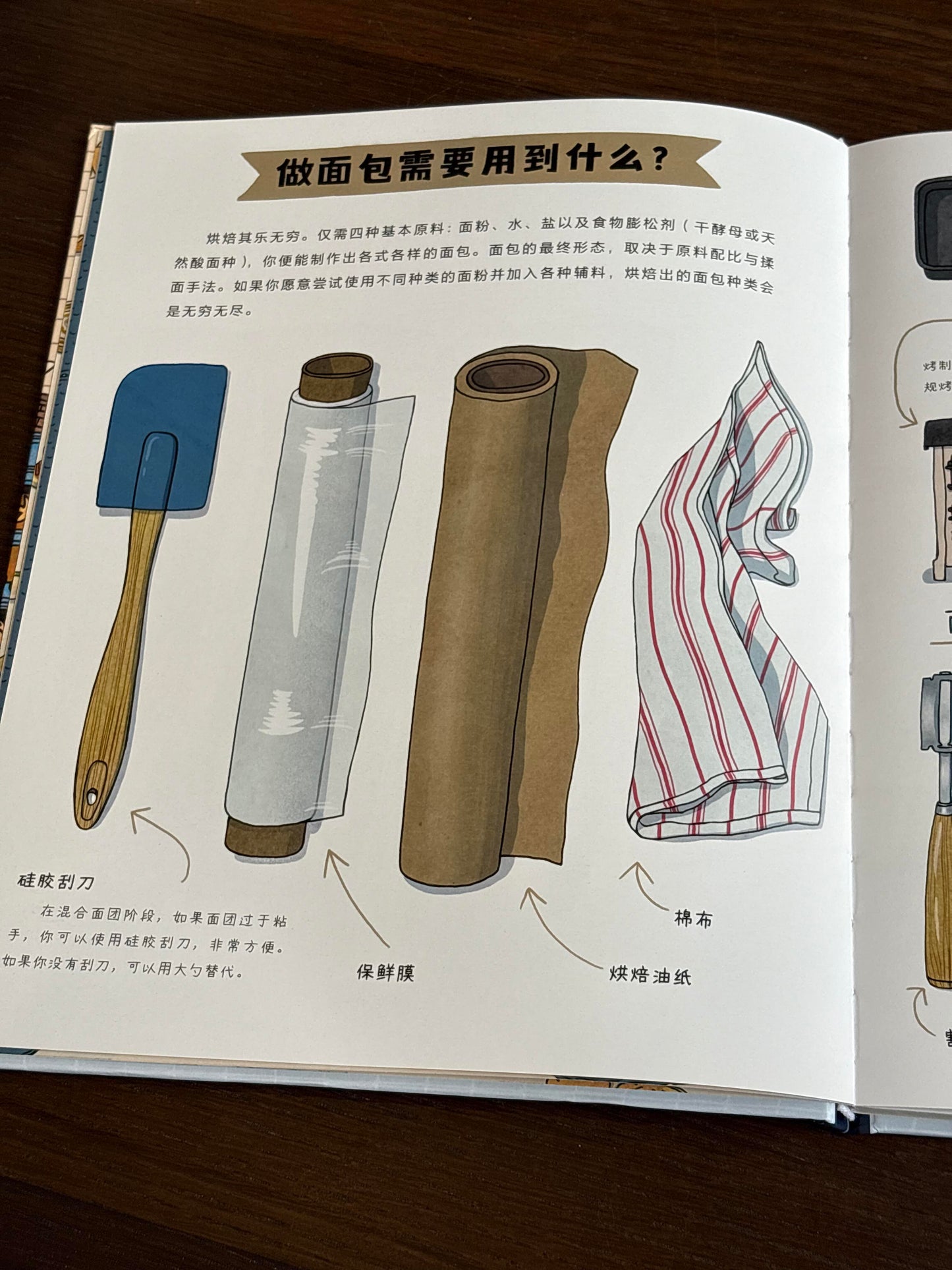 面包的环球之旅