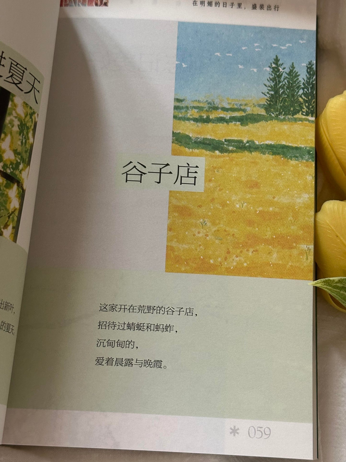 去吹吹旷野的风