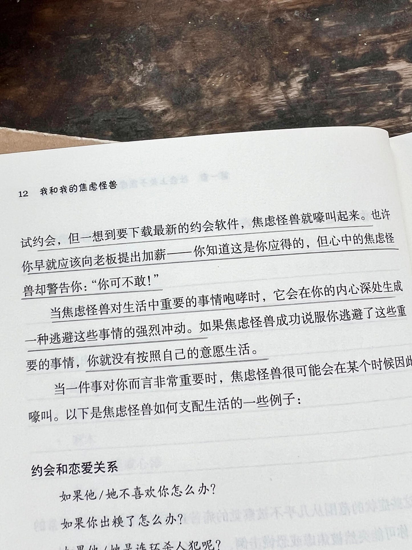 我和我的焦虑怪兽