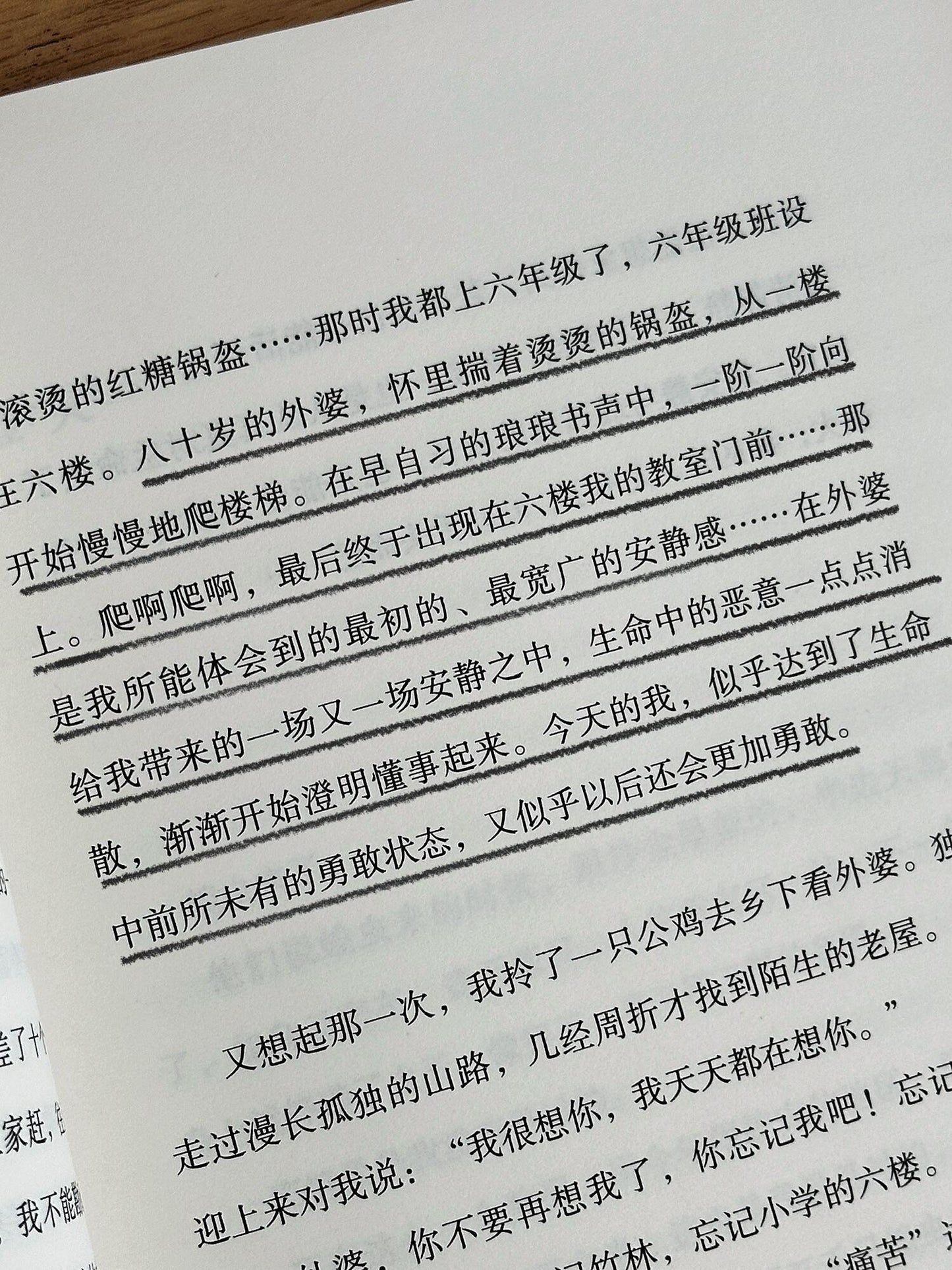 我的阿勒泰