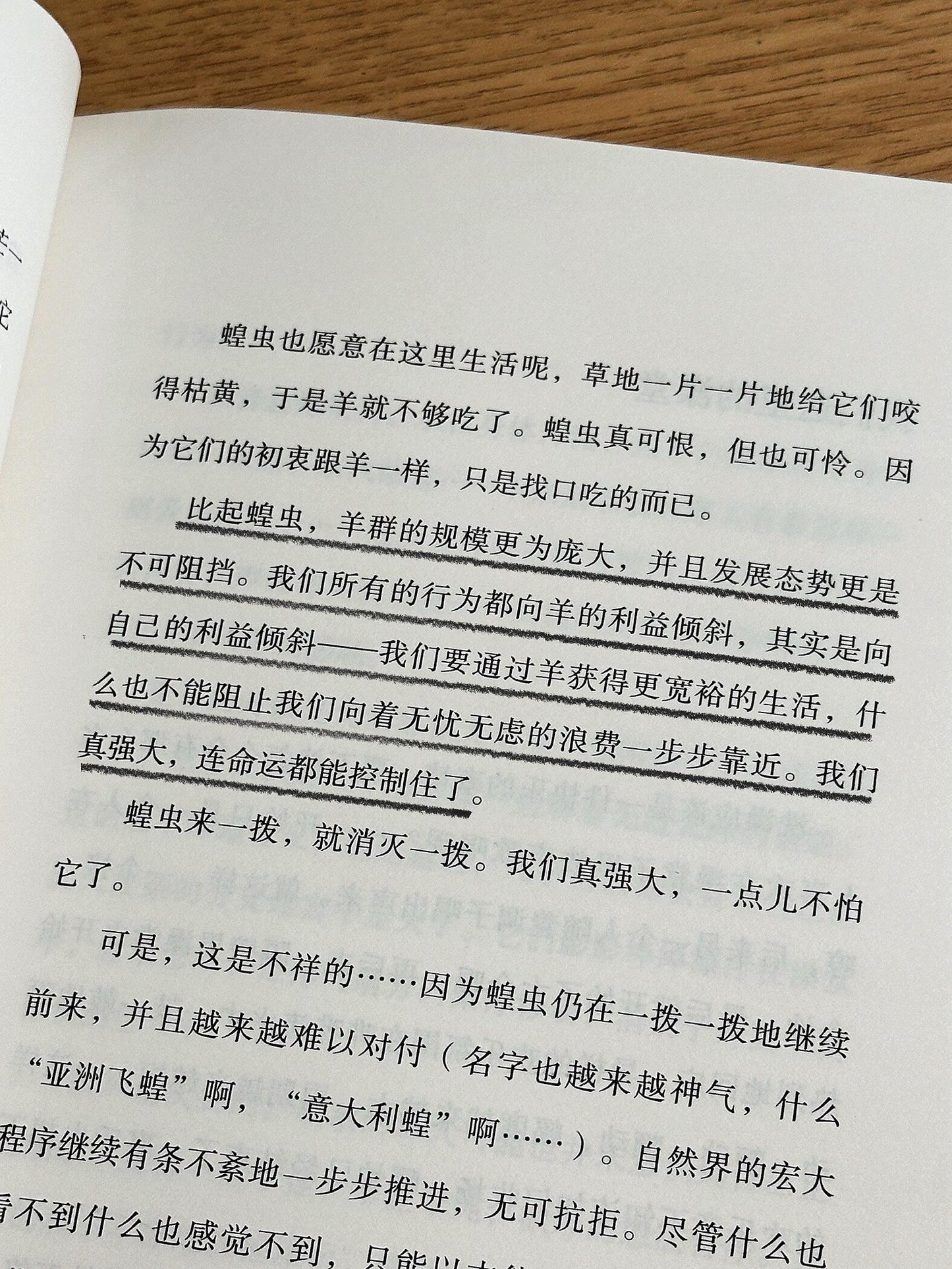 我的阿勒泰