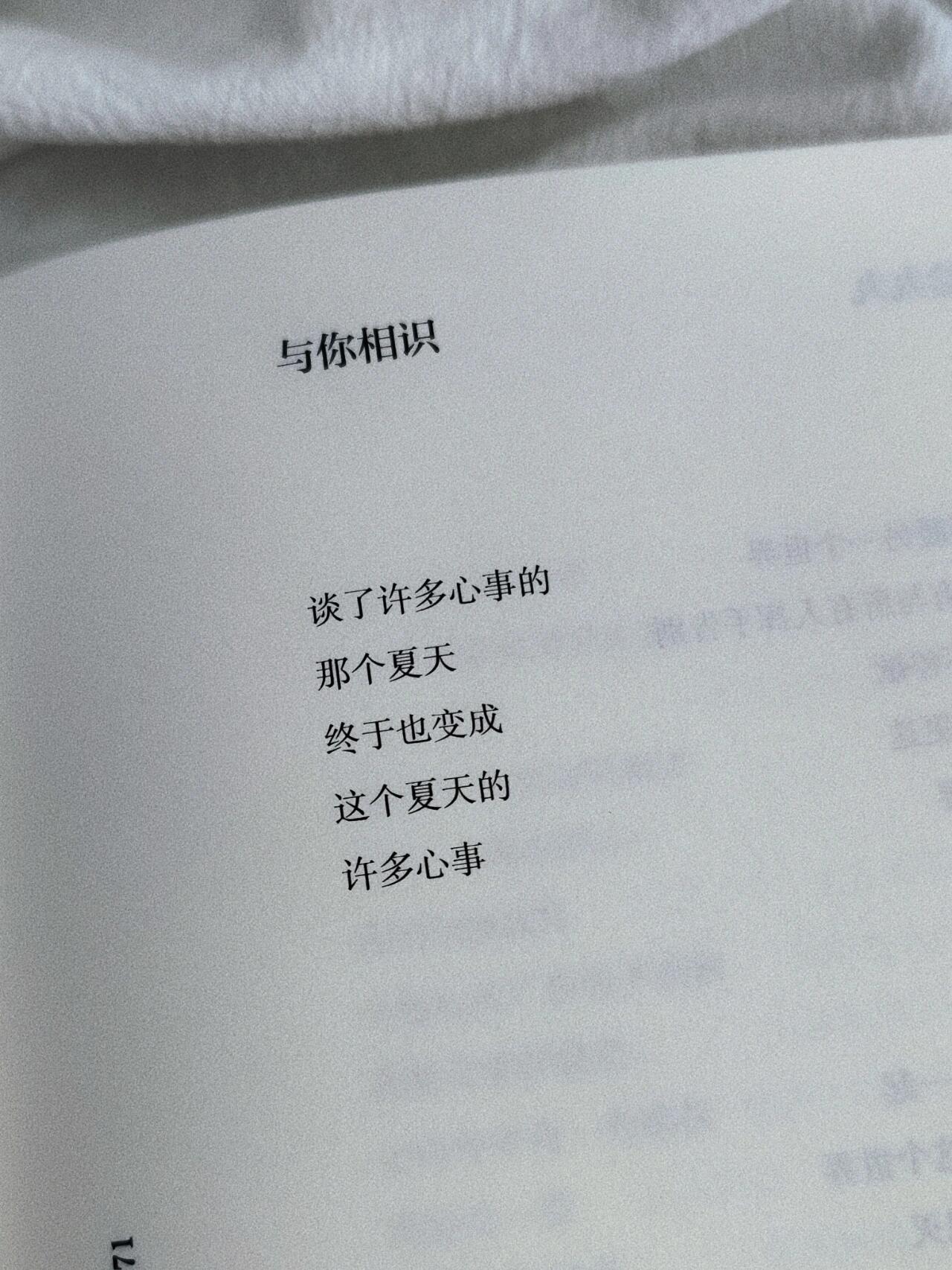 偷诗歌的人